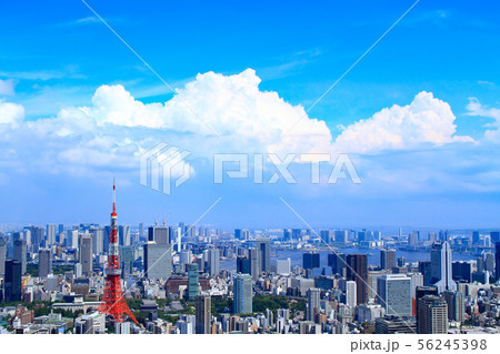 東京都　東京タワー周辺の風景 56245398