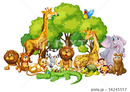 Many cute animals in the park Many cute animals in the park 56245557