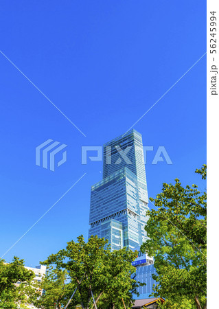 あべのハルカス・天王寺公園 あべのハルカス・天王寺公園 56245994