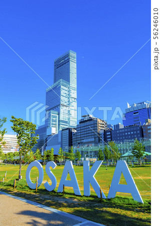 大阪・天王寺公園 56246010