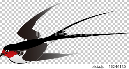 Ukiyoe Tsubame part 1 Ukiyoe Tsubame part 1 56246180