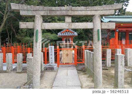 多治速比売神社~弁天社~ 多治速比売神社~弁天社~ 56246513