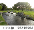 多布施川河畔公園 56246568