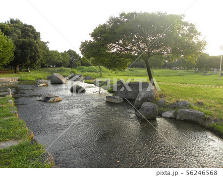 多布施川河畔公園 56246568