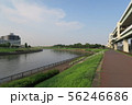 東京　隅田川　河川敷の風景（夏） 56246686