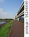 東京　隅田川　河川敷の風景（夏） 56246690