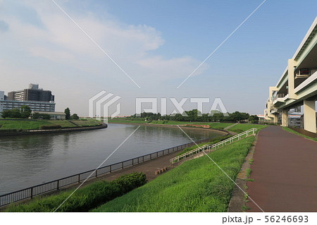東京 隅田川 河川敷の風景(夏) 東京 隅田川 河川敷の風景(夏) 56246693