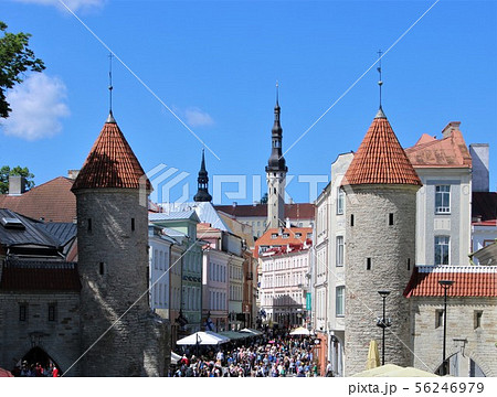 タリン　ヴィル門とメインストリート 56246979