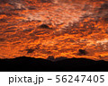 夕焼け 56247405