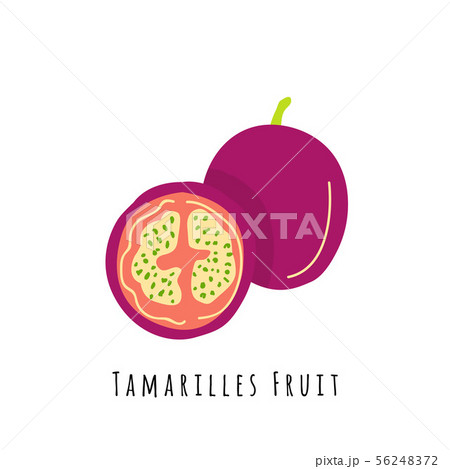 Tamarillo fruit flat vector illustration 56248372