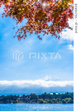 Beautiful landscape of mountain fuji with maple leaf tree around lake 56248838