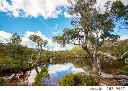 Landscape of Cradle mountain Tasmania, Australia. Landscape of Cradle mountain Tasmania, Australia. 56249967