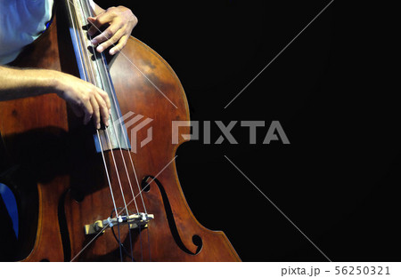 The musician playing double bass. The musician playing double bass. 56250321