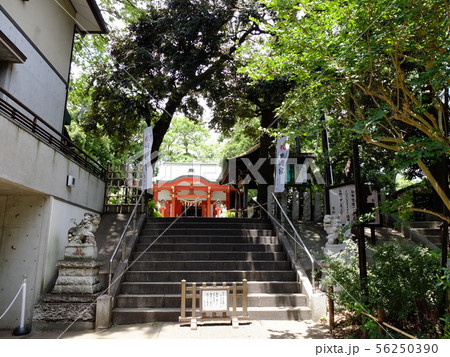 自由が丘のパワースポット　熊野神社 56250390