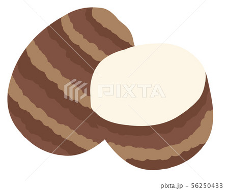 里芋1個と、切った半分の主線なしイラスト 56250433