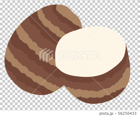 里芋1個と、切った半分の主線なしイラスト 56250433