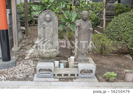 乗蓮寺(横浜市南区井土ヶ谷上町) 乗蓮寺(横浜市南区井土ヶ谷上町) 56250479