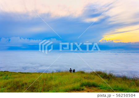 Beautiful Sunrise and mist at Phu Tubberk,Thailand Beautiful Sunrise and mist at Phu Tubberk,Thailand 56250504