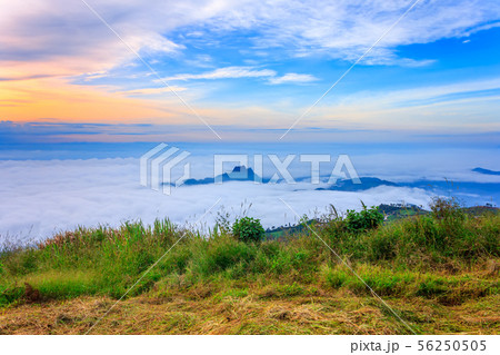Beautiful Sunrise and mist at Phu Tubberk,Thailand 56250505