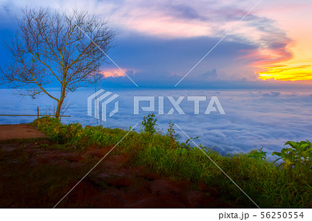 Beautiful Sunrise and mist at Phu Tubberk,Thailand Beautiful Sunrise and mist at Phu Tubberk,Thailand 56250554