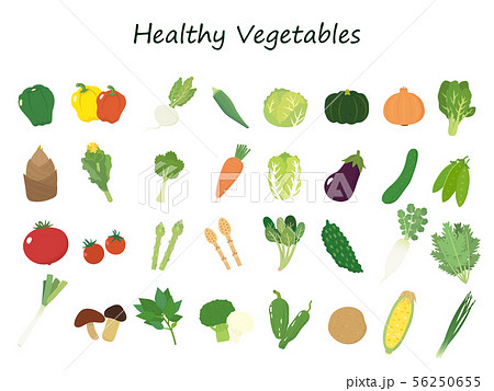 色々な野菜のイラストセットのイラスト素材