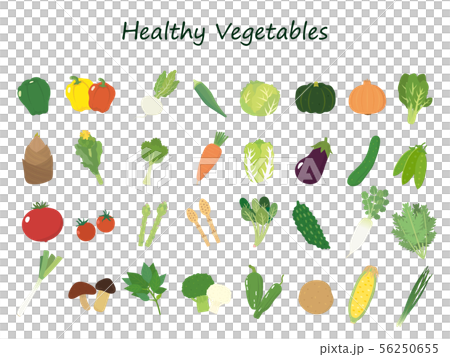 Illustration set of various vegetables 56250655