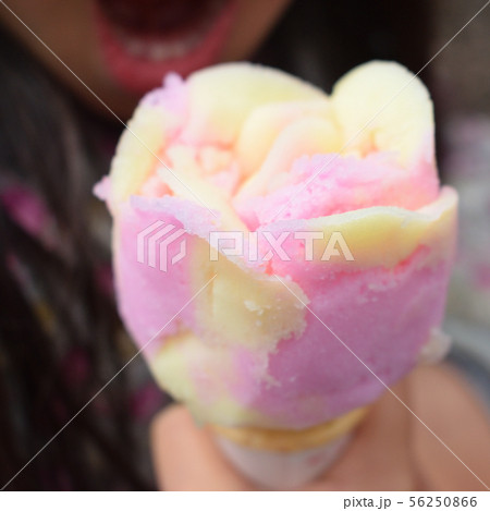 ババヘラアイス 56250866