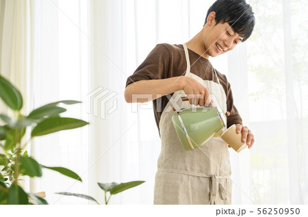 カフェ店員　男性 56250950