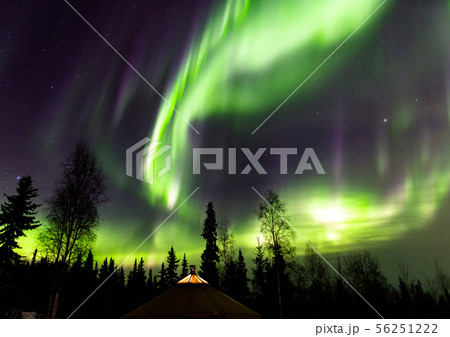 アラスカ フェアバンクスのオーロラ 56251222