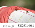寝袋干し 56251491