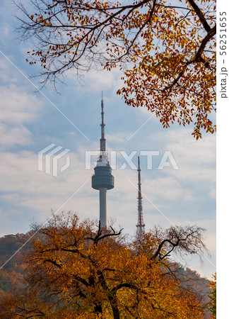 Autumn of Namsan Tower in Seoul,South Korea. 56251655