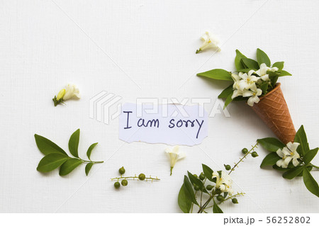 i am sorry message card handwriting with jasmine i am sorry message card handwriting with jasmine 56252802