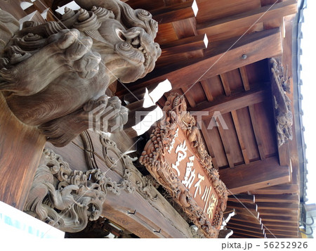 深川のお不動さん　深川不動堂　成田山東京別院 56252926