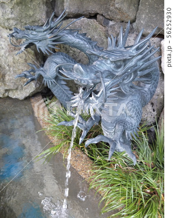 深川のお不動さん　深川不動堂　成田山東京別院 56252930