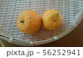 ゆず 56252941