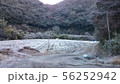 冬 56252942
