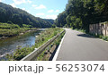 道 56253074
