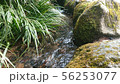 小川 56253077