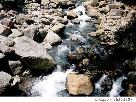原始のままの箱根白川 原始のままの箱根白川 56253207