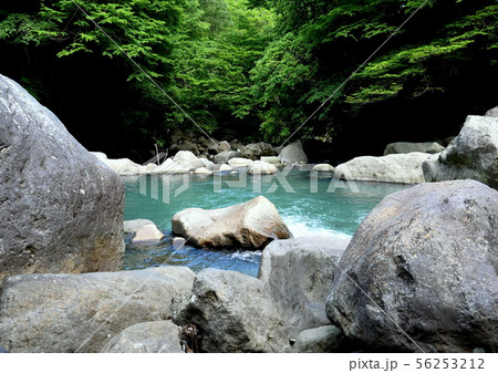 原始のままの箱根白川 56253212
