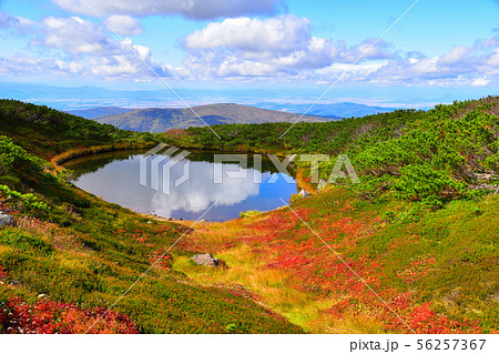 秋　旭平　満月沼 56257367