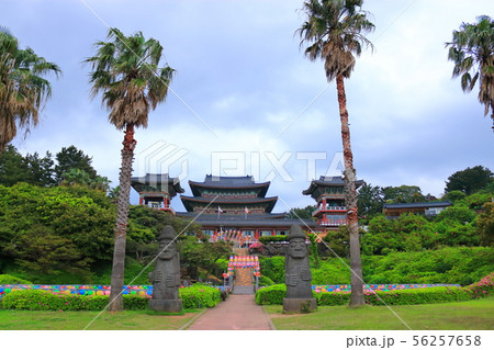 雲 快晴 景色 56257658