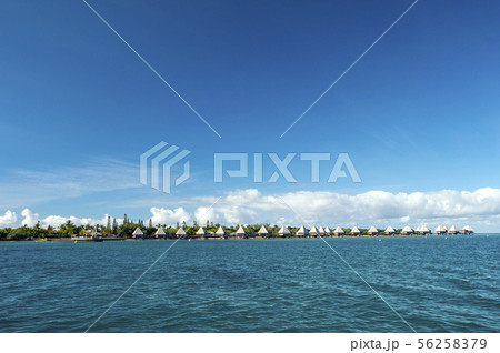 ニューカレドニア、メートルアイランド 56258379