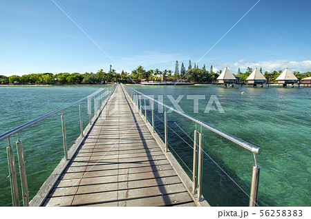 ニューカレドニア、メートルアイランド 56258383