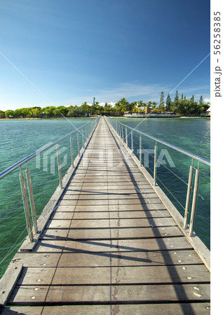 ニューカレドニア、メートルアイランド ニューカレドニア、メートルアイランド 56258385