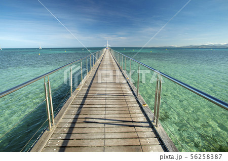 ニューカレドニア、メートルアイランド 56258387