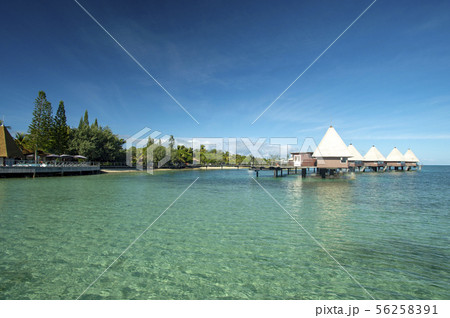 ニューカレドニア、メートルアイランド 56258391