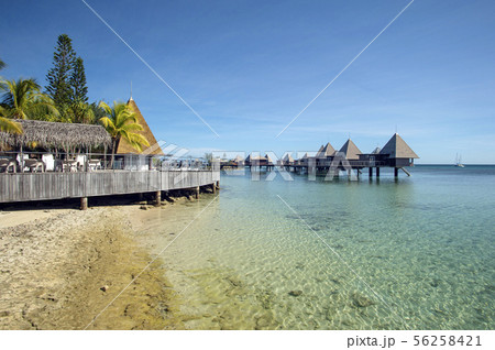 ニューカレドニア、メートルアイランド ニューカレドニア、メートルアイランド 56258421