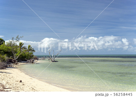 ニューカレドニア、メートルアイランド 56258445