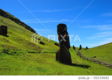 モアイの製造工場 ラノ・ララク山 モアイの製造工場 ラノ・ララク山 56259082